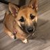 Evan Steinkerchner - Facebook