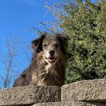 Evan Stephenson - @yohel69415 - Instagram