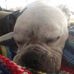 Evan Stickel - Facebook