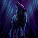 Evan Stoll - @evan_stoll53755.y - Instagram