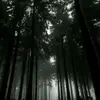 evanstoll4 - @evanstoll4 - TikTok