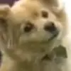 evanstoller113 - @evanstoller113 - TikTok