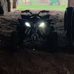 Evan Strack - @strackevan - Instagram