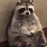 Evan Stringer - @confusedspace74 - Instagram