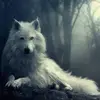 evanstubbs7 - @evanstubbs7 - TikTok