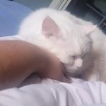 Evan - @evan_surber - Instagram