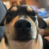 evanswain13 - @evanswain13 - TikTok