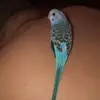 evanswain869 - @evanswain869 - TikTok