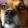 Evan.swain - @evan.swain - TikTok