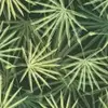 Evan Swart - @evan.swart4 - TikTok