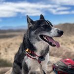 Evan Swarth - @evan.swarth - Instagram