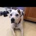 Evan Terrell - Facebook
