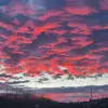 Evan - @evan.stoney - TikTok