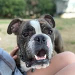 Evan Torres - @evan.torres.1840 - Instagram