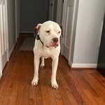 Evan tree - @tree.evan - Instagram