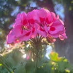 Evan Tree - @etree_21 - Instagram