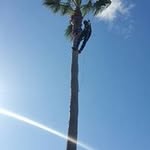 Evan Tree Guy - @evanstree329 - Instagram