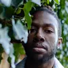 evanhannah - @evantreehouse - TikTok