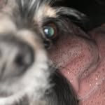Evan tuttle - @evant390 - Instagram