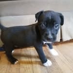 Evan Wagoner - @evan_wag14 - Instagram