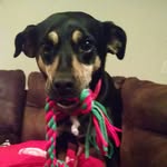 evanwagoner - @evanwagoner - Instagram