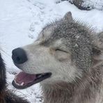 Evan Walls - Facebook