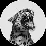 Evan Ware - @_evanprzz - Instagram