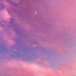 Ëvãń Wårēhâm Sc: evan66634 - @evanwareham0 - Instagram
