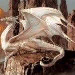 Evan Warner I Follow Back - @dragonsrock306 - Instagram
