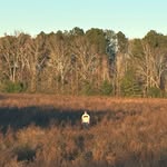 Evan Warren - @evanwarrenmusic - Instagram