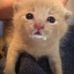 Evan Watterson - Facebook
