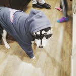 Evan Sheffield - @__evan_wayne__ - Instagram