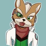 Evan Wiggins - @subarcticfox - Instagram