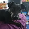 evan_stead - @evan_stead2005 - TikTok