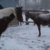 Evan Wise - Facebook