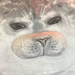 Evan_seven_eleven - @evan_wiseman2004 - Instagram