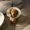 Evan Wiseman - @ev.wiseman - TikTok