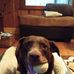 Evan Witt - Facebook