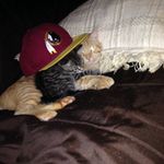 Evan Workman - @workman.evan - Instagram