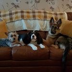 Evan Wright - @evan_wright_ - Instagram