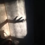 @evan_zinn_ - Instagram