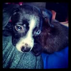 Evander Thompson - Facebook