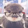 Evangeline Moore - @evangeline.moore - TikTok