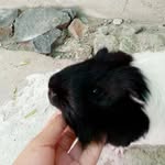 Evangeline Garduño puga - @evangelinegardunopuga - Instagram