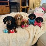 Evangeline Aragon - @_tinkywinky_1 - Instagram