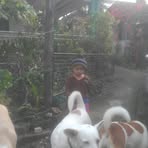 Evangeline Galler - Facebook