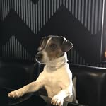 Evangeline Lambe - @lambeevangeline - Instagram