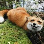Evangeline Ariana lynn - @lynn_40_50_ - Instagram