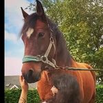 Evangeline May - @eves99x - Instagram