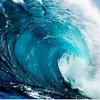 evangelineannemeyer - @evangeline_277 - TikTok